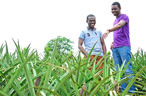 At the Department of Entrepreneurship, Ashesi University in Ghana