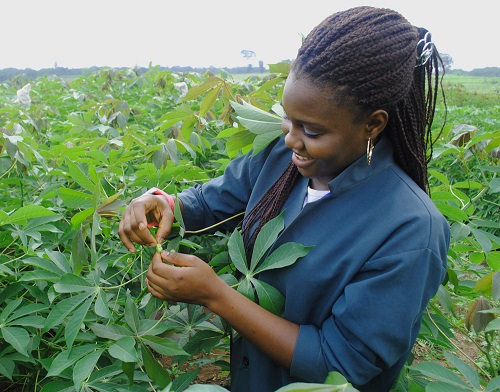 IVSC Youth in Agriculture Programs and Gender Equality