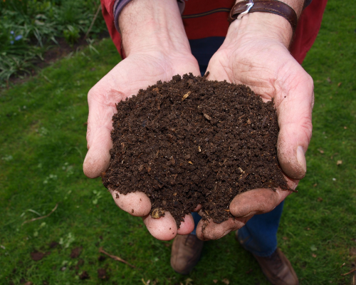 Organic Compost