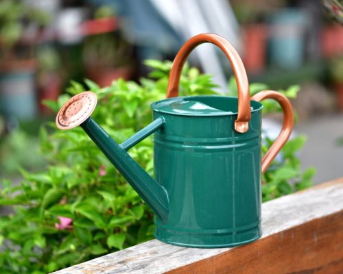 Watering Can